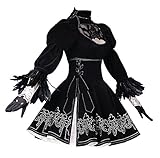 ZYHCOS Black Sexy Hollow Lace High Waist Halloween Dress Costume (Womens-M)