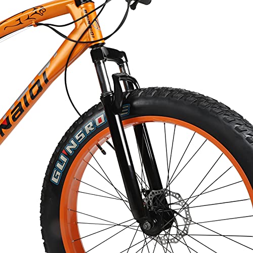 mens fat tyre bike