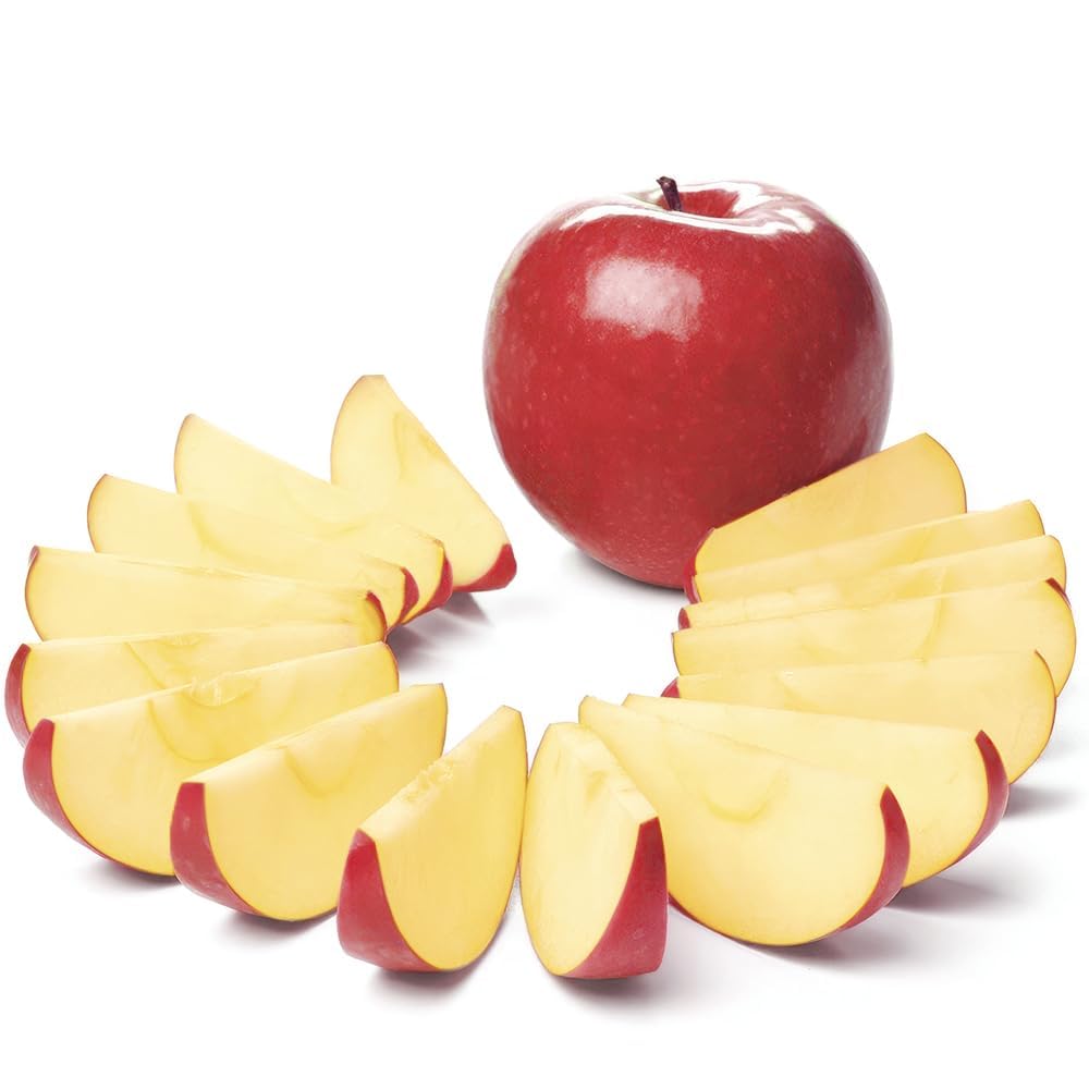 Apfelschneider aus 304 Edelstahl, Apfelentkerner 12 Scheiben, Großer Obstschneider mit Entkerner, Spülmaschinenfest – Keine Wasseransammlung, 2026 Upgrade, Null Kunststoffe 9