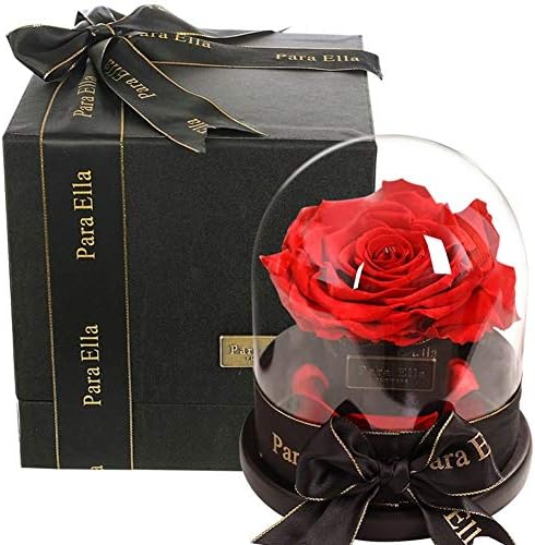 倉 美女と野獣バラ マジックローズ 手作りのガールフレンドのための花 バレンタインデー 母の日 誕生日プレゼント クリスマス 花バラ ロングを作成します ギフトラスティングパーフェクトシルクローズやガラス