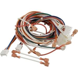 Amazon.com : Hayward IDXWHA1931 Wire Harness Replacement
