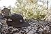 Tillak Wallowa Trail Hat, a Lightweight Nylon and Mesh 5 Panel Cap (Black)