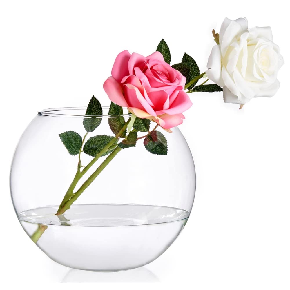 Pecera-Glass Vase 12x9 with Case
