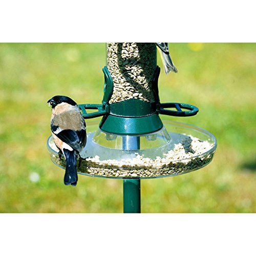 Best Bird Seed Guards & Catchers Buying Guide GistGear