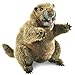Folkmanis Groundhog Hand Puppet