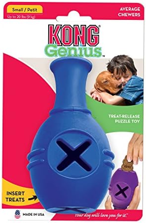 kong genius leo large