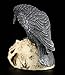 PTC 5 Inch Halloween Black Raven on Skeleton Skull Statue Figurine