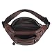 Polare Genuine Leather Fanny Pack/Waist Bag/Organizer (Classic Style)