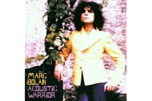 Acoustic Warrior
