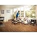 Electrolux Ergorapido Lithium Ion Stick Vacuum, Red