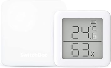 google home mini home control