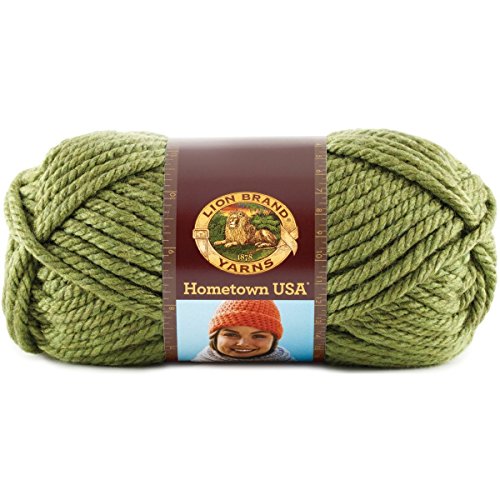 Lion Brand Yarn 135-172D Hometown USA Yarn, Oklahoma City Green (pack of 2)