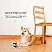 Petacc Dog Shoes Waterproof Dog Boots Anti-slip Snow Boots Warm Paw Protector for Medium to Large Dogs Labrador Husky Shoes 4 Pcs in Size 4