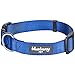 Blueberry Pet Essentials Small Dog Collar in Royal Blue | Adjustable & Eco-Friendly Durable Nylon Strap | Classic Collar for Small Dogs, Boy & Girl Pets