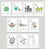 Our Earth Counting Wall Cards in English, Number Flash Cards, Set of Ten 5x7 Wall Art Prints, Nursery Wall Art Decor, Kid's Art Decor, Gender Neutral Nursery, Nature Themed, Woodland Nursery, Playroom