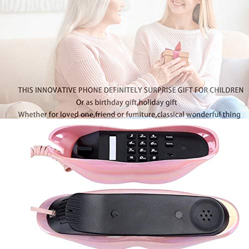 51uUdjyiLML.jpg