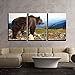 wall26 - 3 Piece Canvas Wall Art - Big Brown Bear (Ursus Arctos) in The Mountain - Modern Home Art Stretched and Framed Ready to Hang - 24
