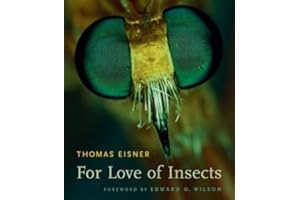 For Love of Insects