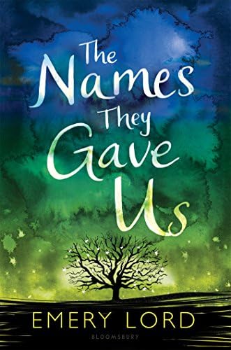 The Names They Gave Us Hardcover – May 16, 2017