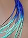 Feather Hair Extensions, 100% Real Rooster Feathers, 20 Long Thin Loose Individual Feathers, By Feather Lily