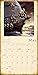 Fantasy Art of Frank Frazetta 2016 Wall Calendar