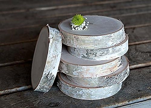 BIRCH ROUNDS - 2" THICK (12"-13" dia. 2" thick 1 pcs.)