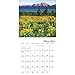 National Parks Wall Calendar (2019)