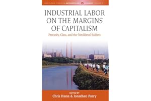 Industrial Labor on the Margins of Capitalism: Precarity, Class, and the Neoliberal Subject (Max Planck Studies in Anthropolo