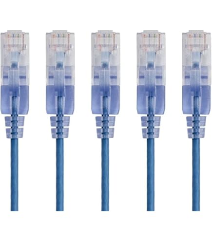 Domotz Caixa B-12 (modelo original) - Agente oficial de hardware e