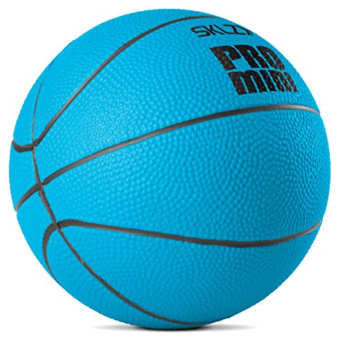 Sklz pro mini swish foam ball
