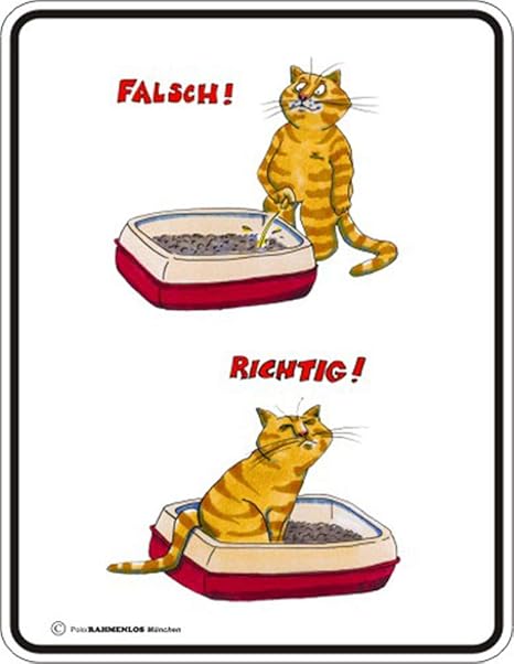 Amazon De Empireposter Falsch Richtig Pinkeln Blech Schild Blechschild Mit Spruch 4 Saugnapfe