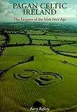 Front cover for the book Pagan Celtic Ireland: The Enigma of the Irish Iron Age by Barry Raftery