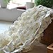 Qianle 5 Yards Daisy Sun Flower Pattern Lace DIY Ribbon Art Crafts Tape for Decoration 0.98 inch Width