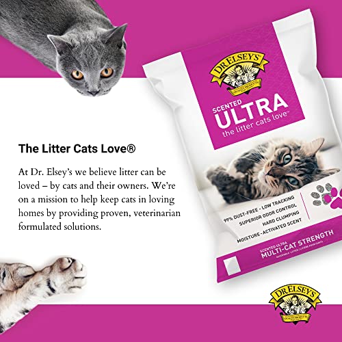 Dr. Elsey's Premium Clumping Cat Litter Ultra Scented 99.9 Dust