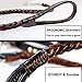 COMSUN Leather Dog Leash Braided Pet Training Leather Lead Belt 4.3ft Long 0.8 Inch Wide for Medium Large Dogs Up to 220lbs with Buffer Spring Black