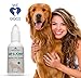 NOAH & TILLY Glucosamine Chondroitin for Dogs Tasty Chicken Flavor - All Natural Joint Pain Relief for Hip and Joint Health - Our Glucosamine for Dogs Supplements for Joints are USA Made & Guaranteed