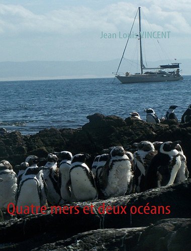 Télécharger Quatre mers et deux océans (French Edition) Livre eBook France