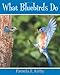 What Bluebirds Do