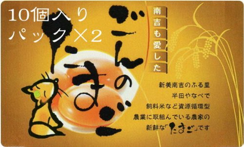 【起死回生の縁起鶏】 名古屋交趾鶏(コーチン)卵/ごんのたまご 20個入り商品画像