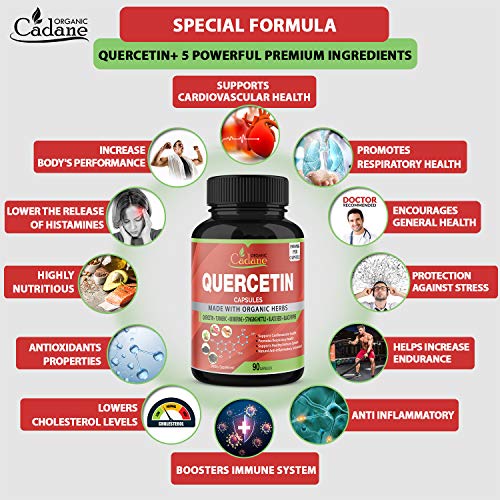 Quercetin Capsules 1900mg, 3 Months Supply with Turmeric, Berberine