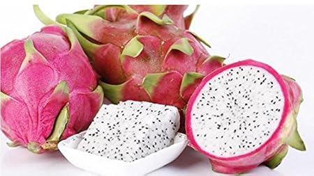 Futaba Pitaya Seeds, WHITE DRAGON Fruit Seeds - 50 pcs