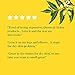 TheraNeem Neem Therap Skin Lotion | Calms, Nourishes and Hydrates Dry, Sensitive Skin with Organic Neem Oil, Vegan, 8oz (8oz)