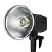 Godox AD-H600 600W Bare Bulb Flash Tube for Godox Witstro AD600 AD600B AD600M AD600BM
