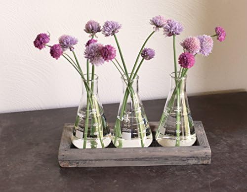 Rustic Laboratory Bud Vase