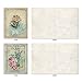 The Best Card Company - 10 Retro Blank Cards with Envelopes (4 x 5.12 Inch) - Artistic Boxed Assortment, Vintage Note Cards - Scentiments M6472OCB