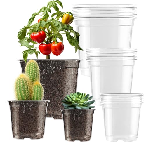 auriikoop 15 Pieces Plastic Pots, 9/10/13 cm Transparent Orchid Pots with Drainage Holes for Indoor and Outdoor Plant Cuttings