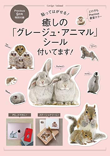 Precious 2020年9月号 画像 B