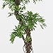 EPESTOEC 6FT Artificial Ficus Silk Tree (70in) with Plastic Nursery Pot, Fake Plant for Living Room Balcony Corner Decor,Indoor-Outdoor Use