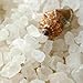 Sea Salt Body Scrub by Florida Suncare - Ocean Salt Body Polish Infused with Marine Algae - Exfoliating Face and Body Scrub - Facial Scrub Exfoliator to Tackle Acne (Coconut, 3.3 oz)