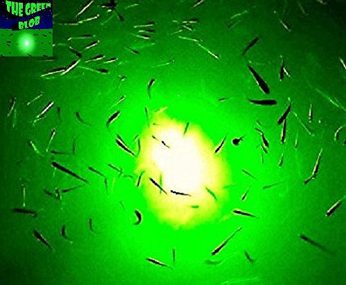 The GREEN BLOB7500 LED Night Florescent Underwater